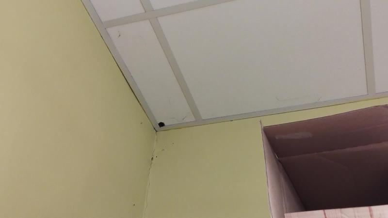 Illustrative photo no. 14