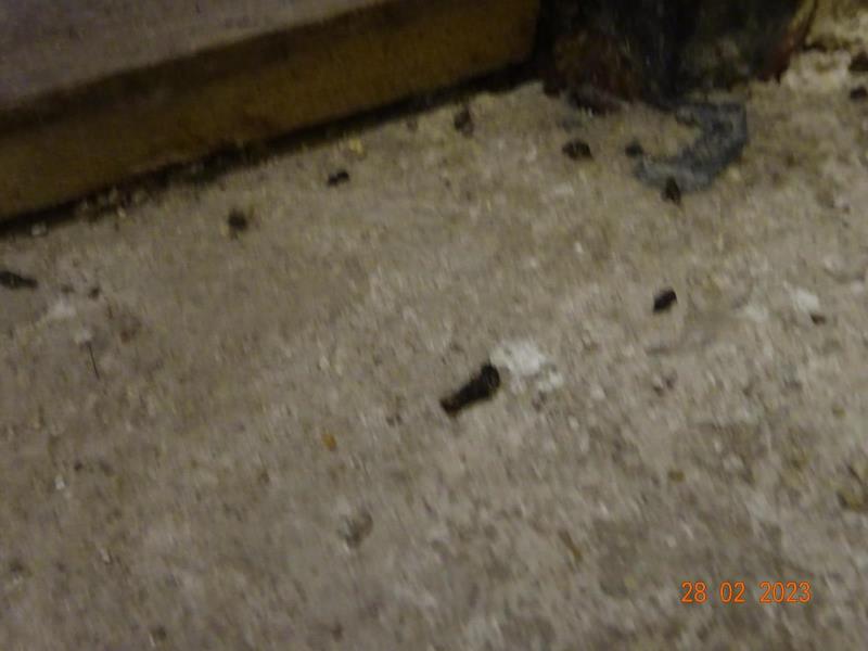 Illustrative photo no. 8
