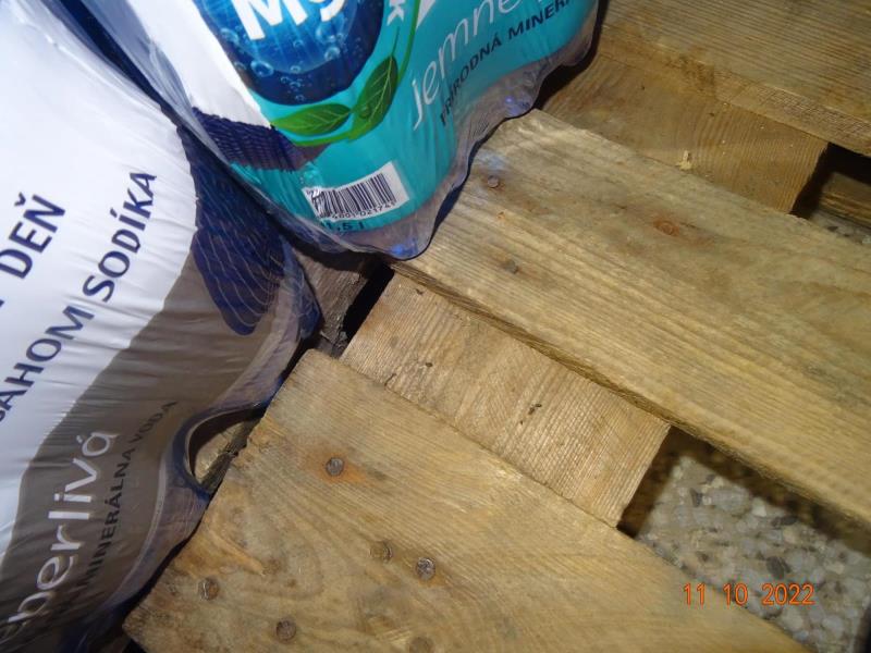 Illustrative photo no. 11