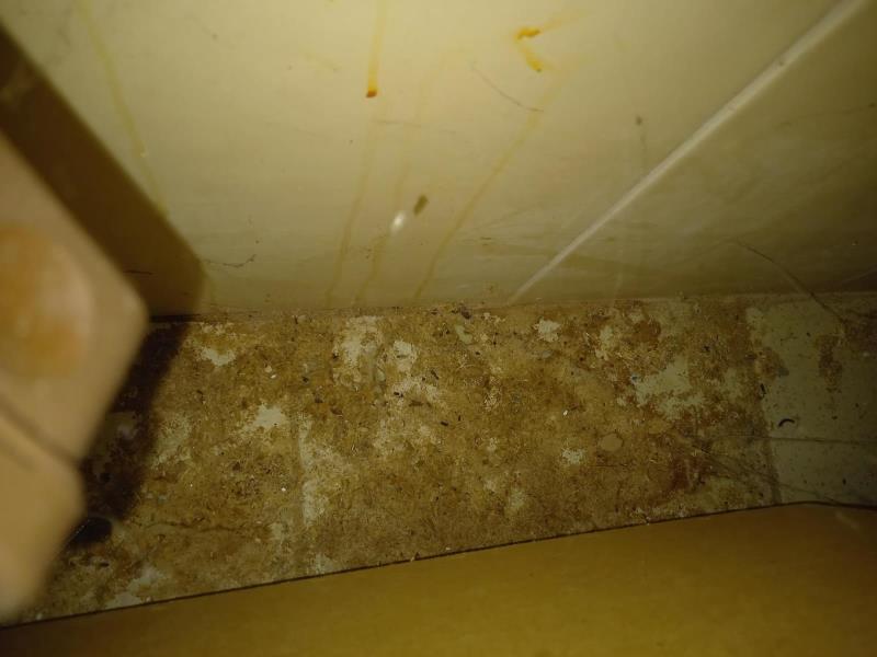 Illustrative photo no. 9