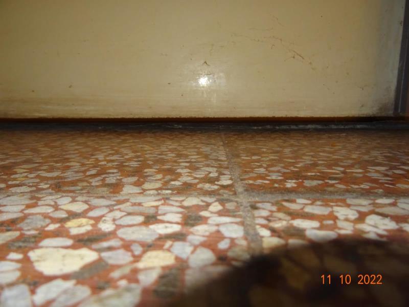 Illustrative photo no. 7