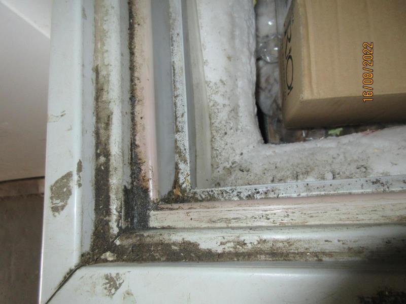 Illustrative photo no. 4