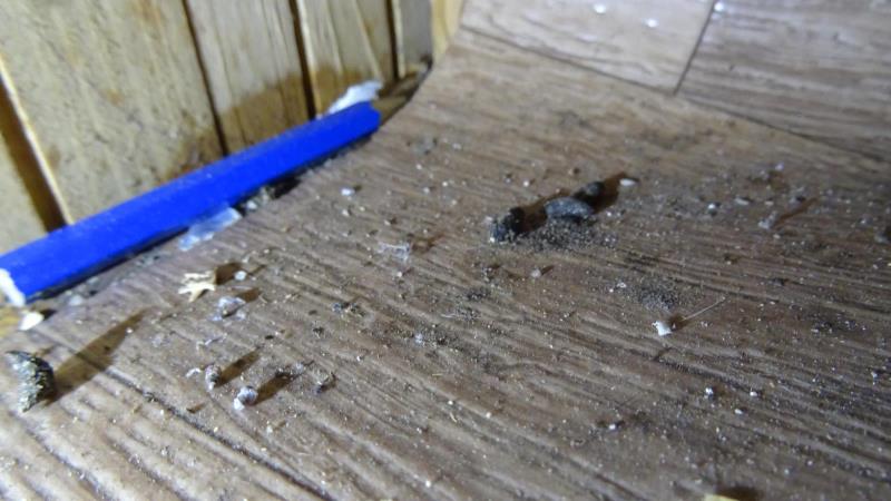 Illustrative photo no. 8