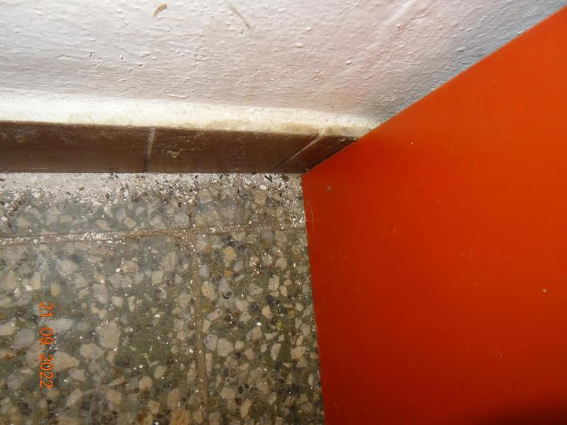 Illustrative photo no. 4
