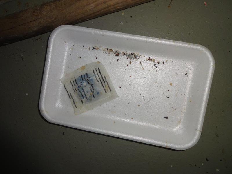 Illustrative photo no. 2