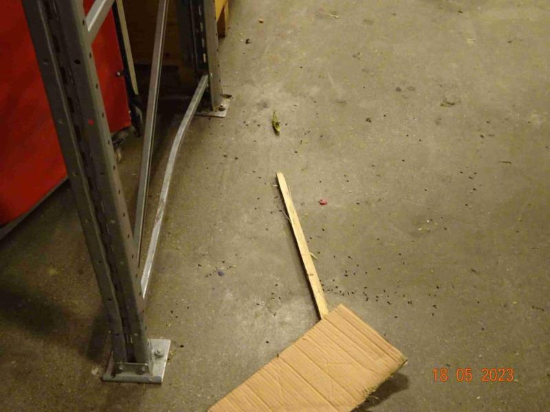 Illustrative photo no. 2