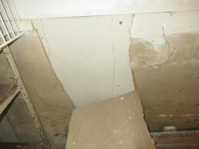 Illustrative photo no. 3