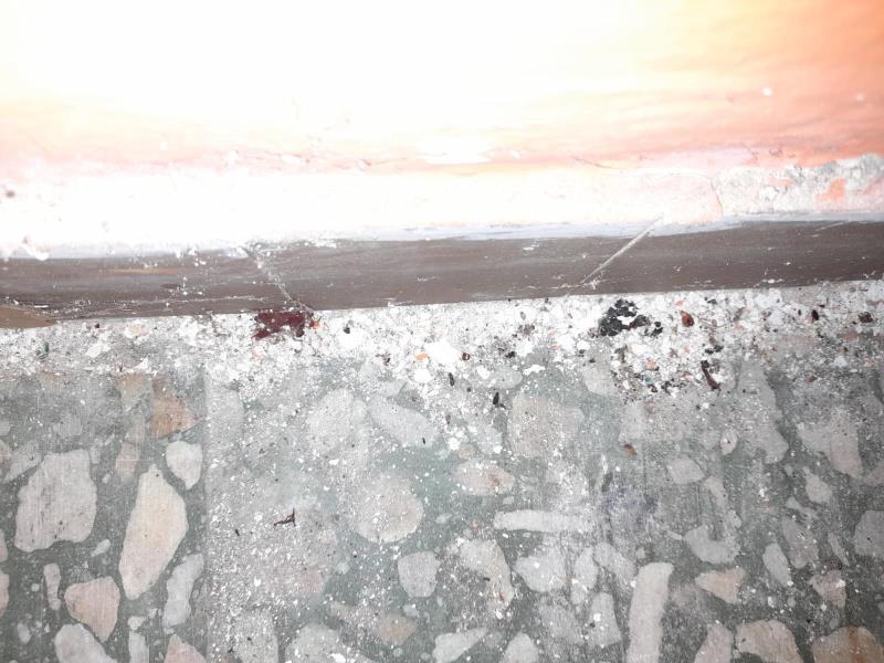 Illustrative photo no. 5