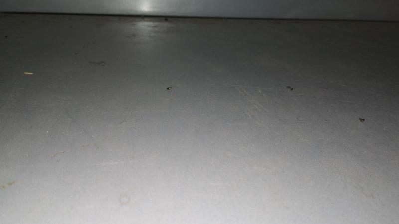 Illustrative photo no. 7