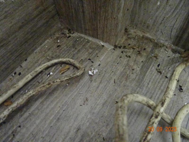 Illustrative photo no. 8