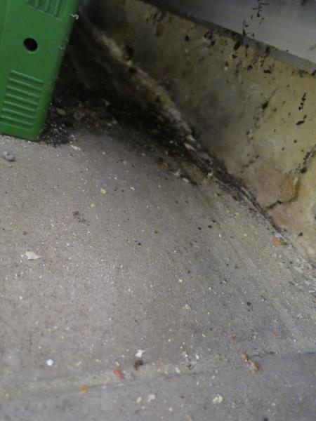 Illustrative photo no. 12