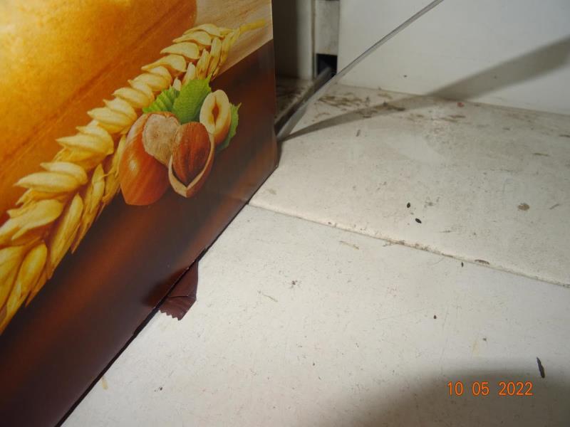 Ilustrační fotografie č. 18