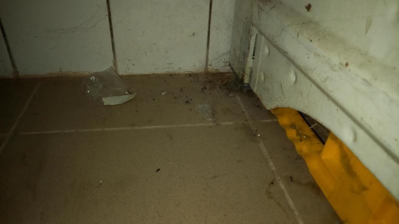 Illustrative photo no. 4