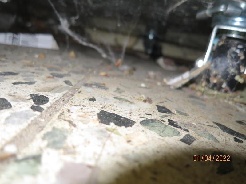 Illustrative photo no. 2