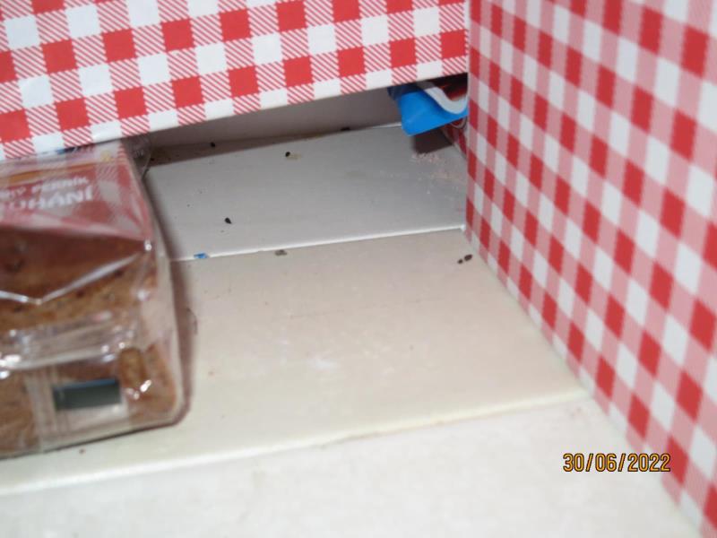 Illustrative photo no. 10