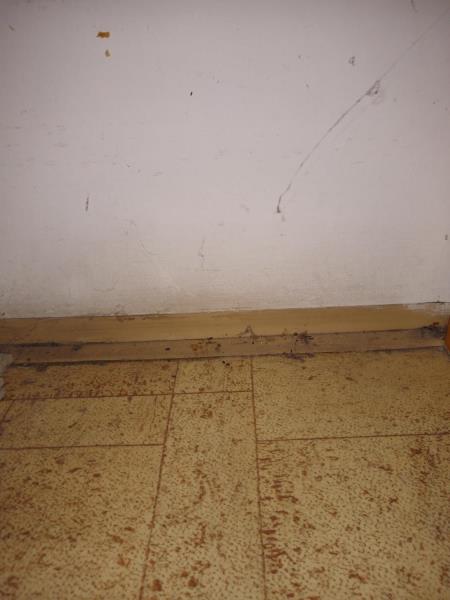 Illustrative photo no. 15
