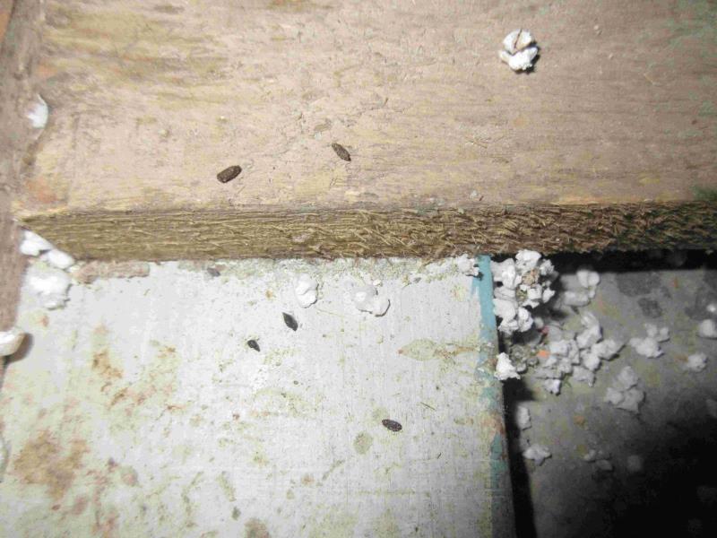 Illustrative photo no. 8