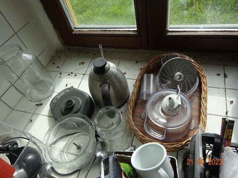 Illustrative photo no. 9