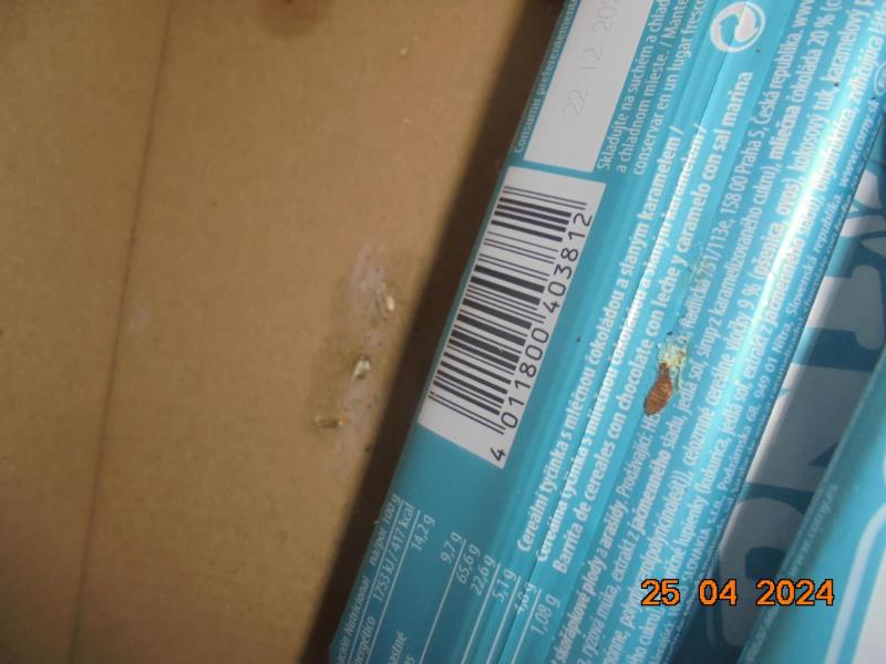 Illustrative photo no. 16