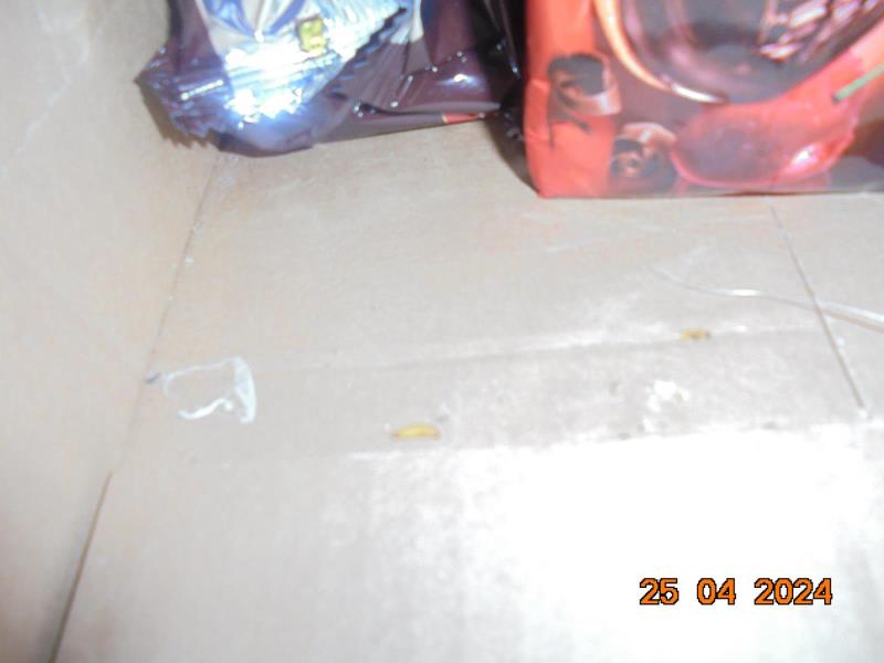 Illustrative photo no. 17