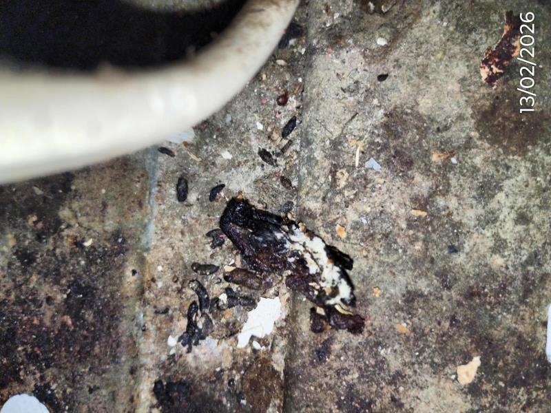 Ilustrační fotografie č. 22