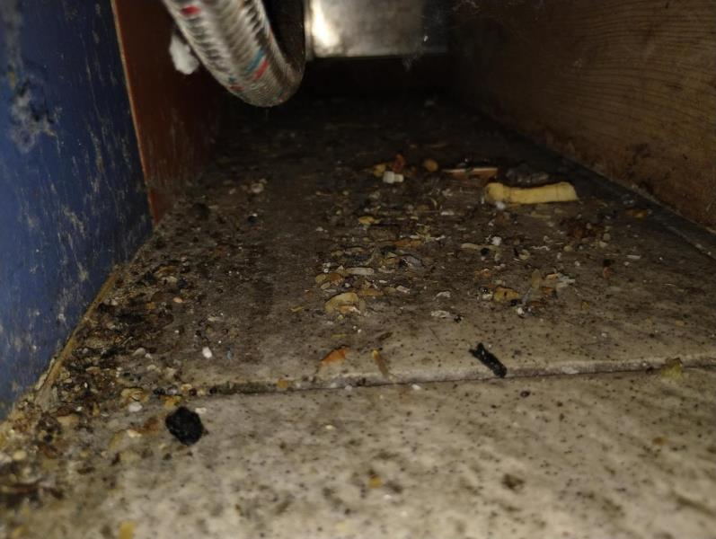 Ilustrační fotografie č. 25