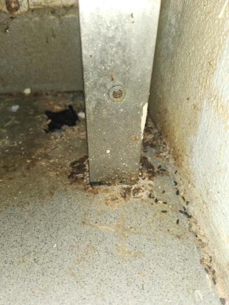 Ilustrační fotografie č. 13