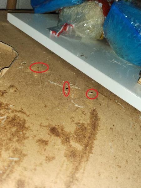 Ilustrační fotografie č. 8