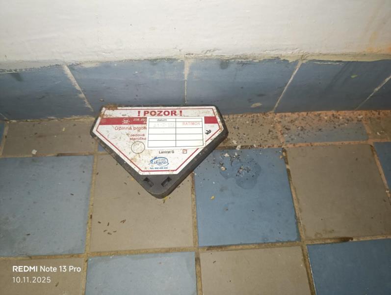 Illustrative photo no. 6