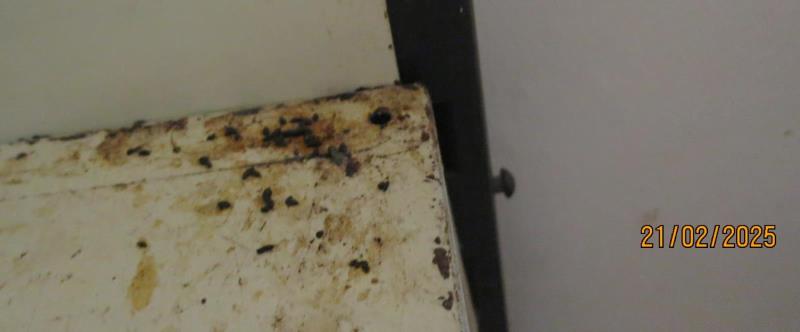 Illustrative photo no. 8