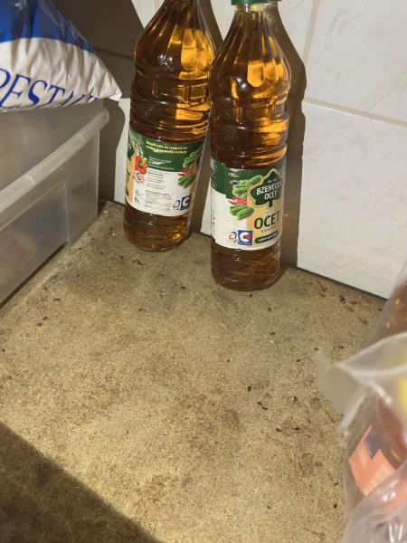 Ilustrační fotografie č. 7