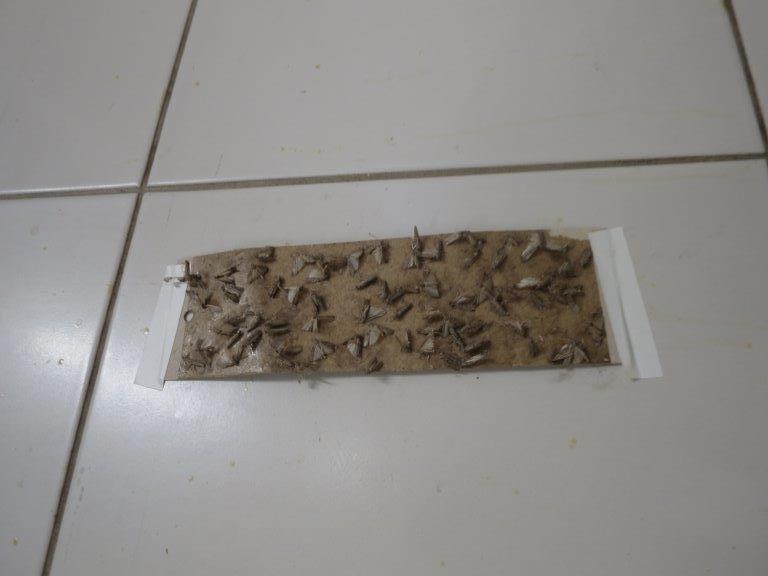 Illustrative photo no. 10