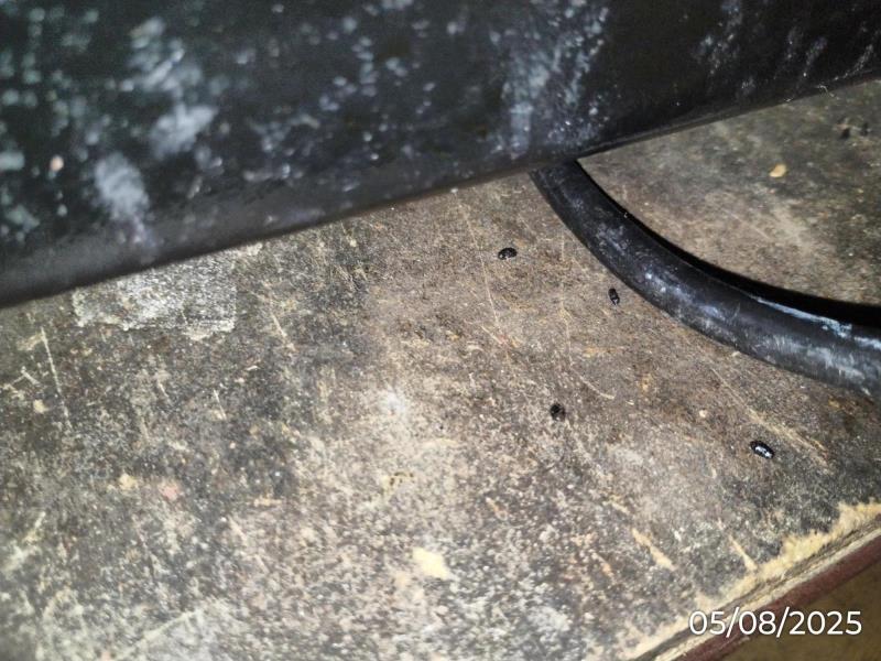 Ilustrační fotografie č. 15