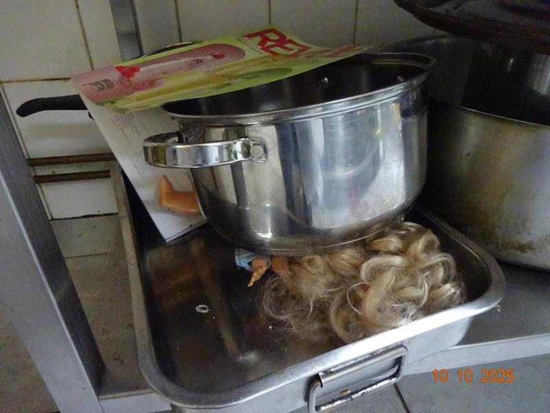 Ilustrační fotografie č. 24