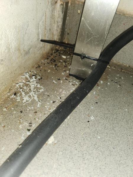 Ilustrační fotografie č. 12