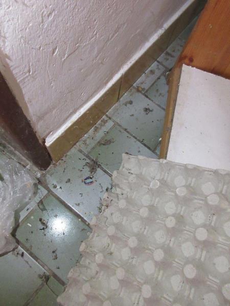 Illustrative photo no. 6