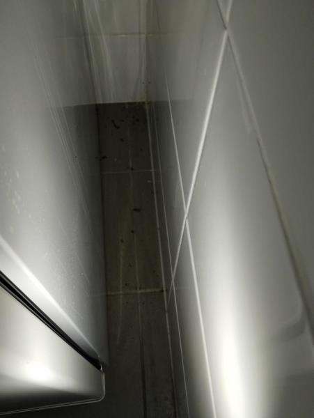 Ilustrační fotografie č. 7