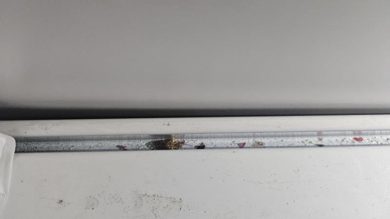 Ilustrační fotografie č. 14