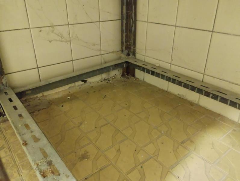 Ilustrační fotografie č. 10