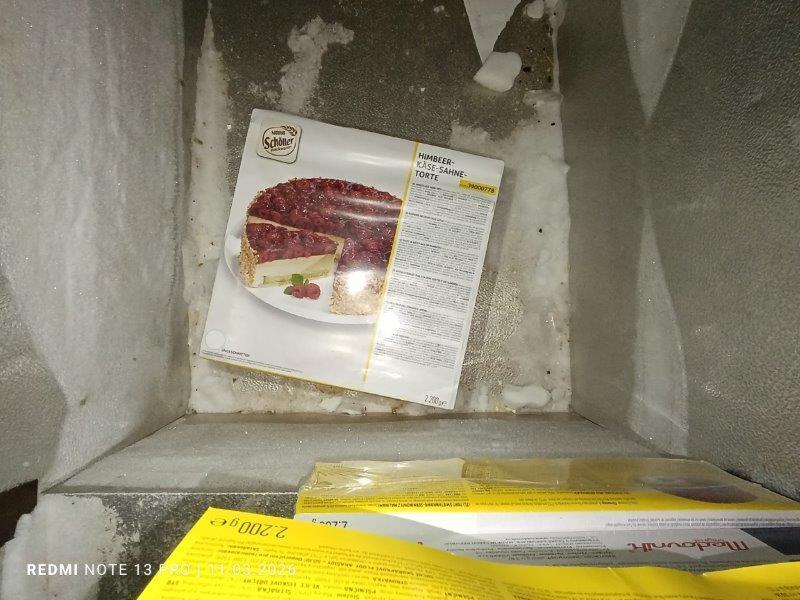 Illustrative photo no. 12