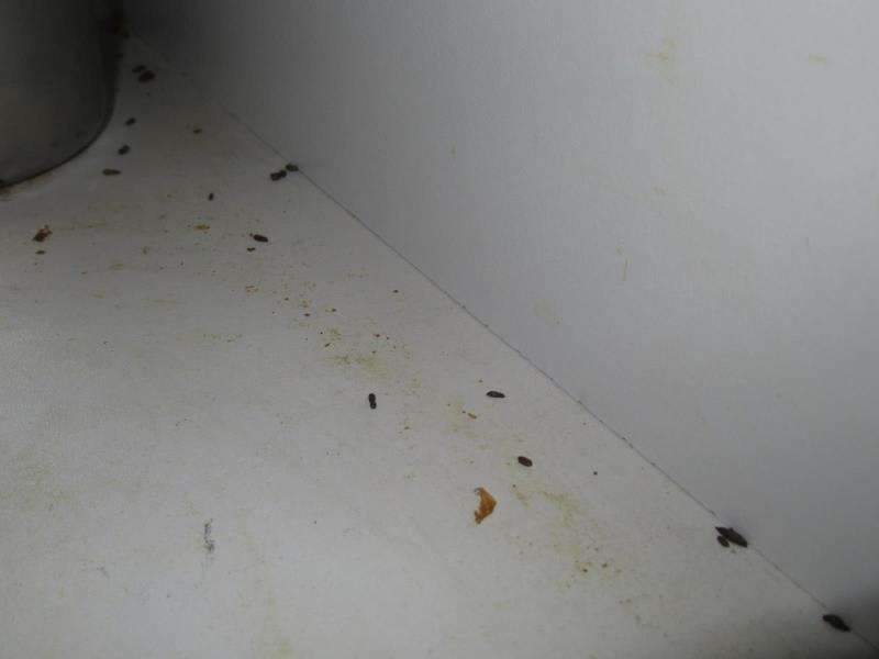 Ilustrační fotografie č. 12