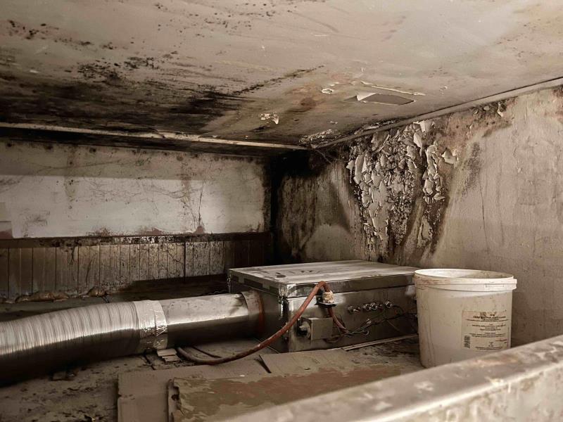 Ilustrační fotografie č. 8