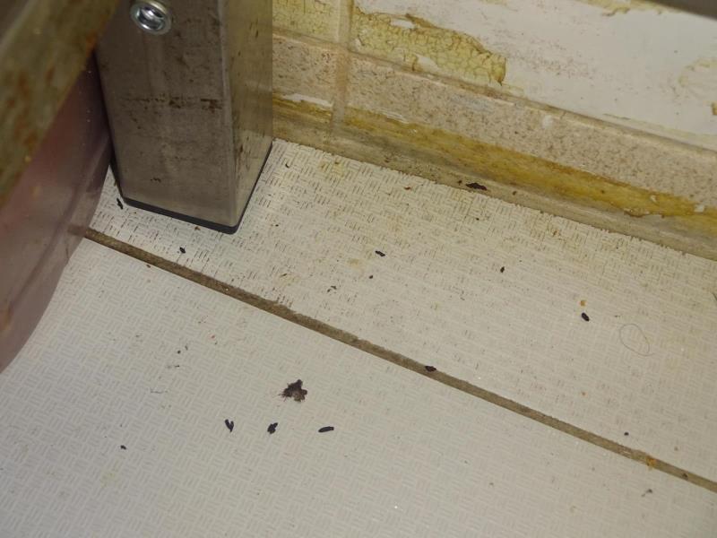 Ilustrační fotografie č. 9