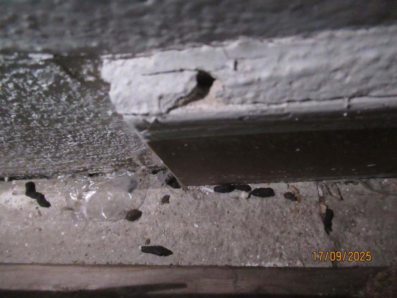 Illustrative photo no. 8