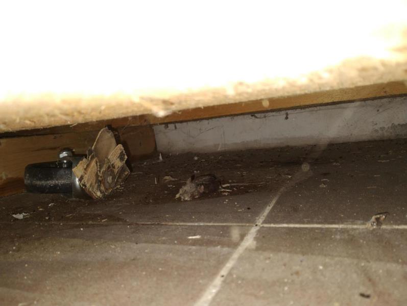 Illustrative photo no. 5