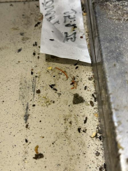 Ilustrační fotografie č. 9