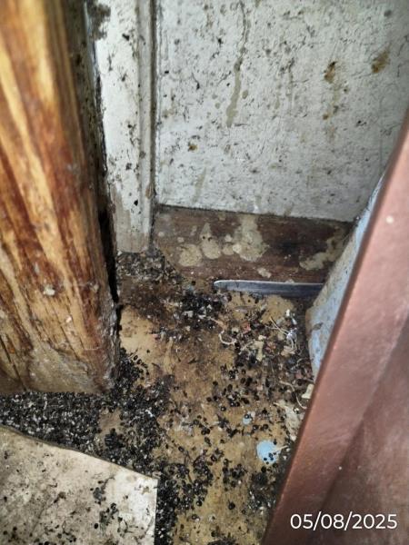 Ilustrační fotografie č. 19