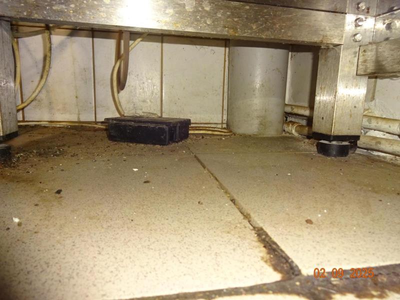 Illustrative photo no. 4