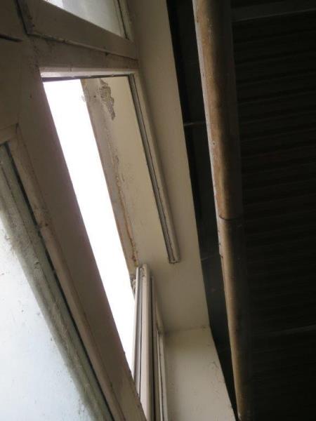 Illustrative photo no. 14