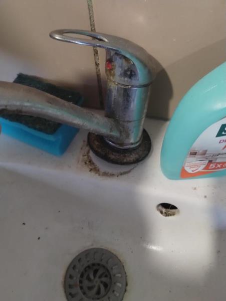 Ilustrační fotografie č. 9